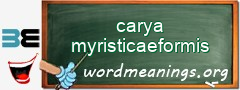 WordMeaning blackboard for carya myristicaeformis